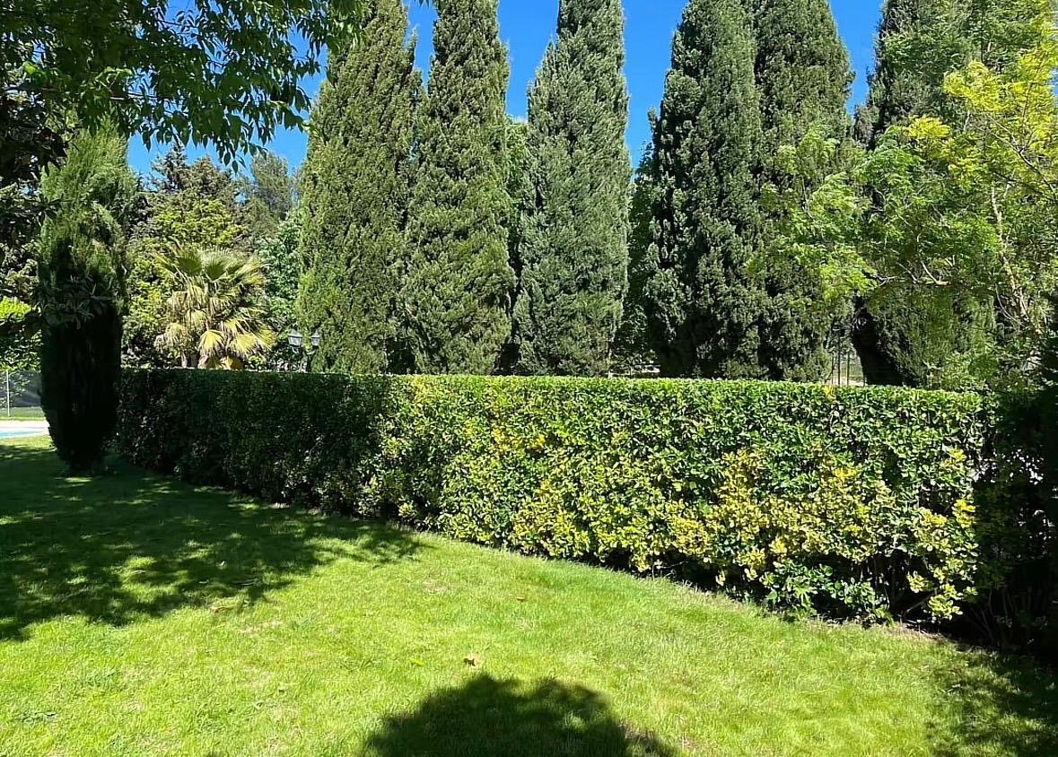 Taille de haie géométrique